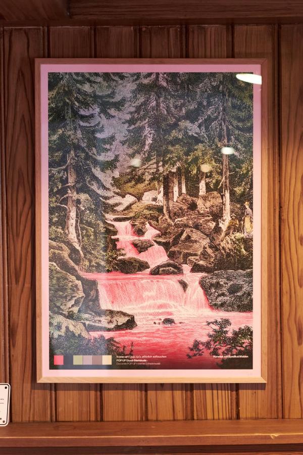Pop-Up Stuub Feldberg Hotel Feldberg  Kültér fotó