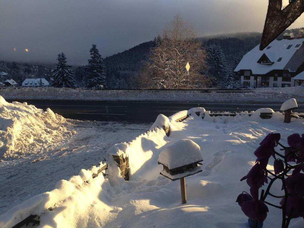 Pop-Up Stuub Feldberg Hotel Feldberg  Kültér fotó